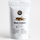 Cow Crack Black Crickets